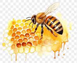 الوافي لمنتجات النحل والاعشاب